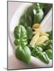 Basil, Garlic and Pine Nuts (Ingredients for Pesto)-null-Mounted Photographic Print