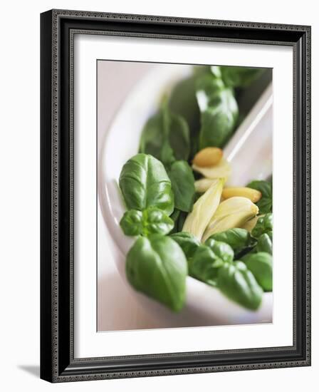 Basil, Garlic and Pine Nuts (Ingredients for Pesto)-null-Framed Photographic Print