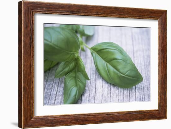 Basil Leaves-Maxine Adcock-Framed Photographic Print