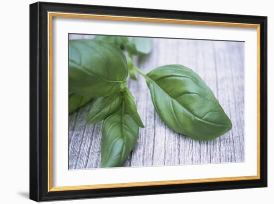 Basil Leaves-Maxine Adcock-Framed Photographic Print