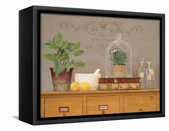 Basil Library-Arnie Fisk-Framed Stretched Canvas