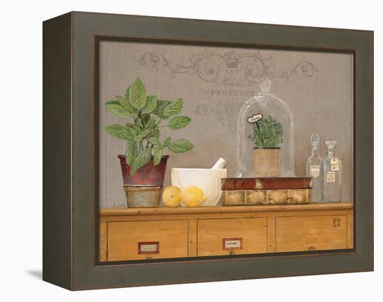 Basil Library-Arnie Fisk-Framed Stretched Canvas