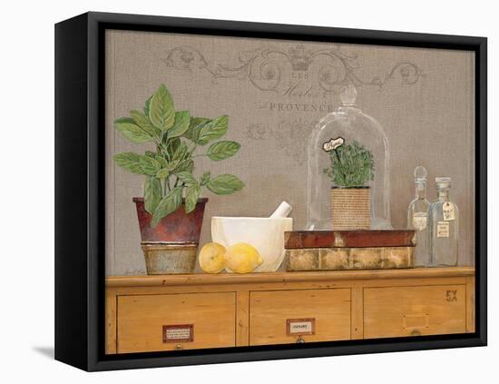 Basil Library-Arnie Fisk-Framed Stretched Canvas