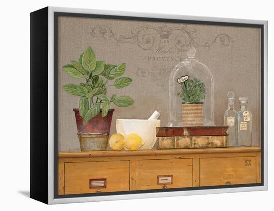 Basil Library-Arnie Fisk-Framed Stretched Canvas