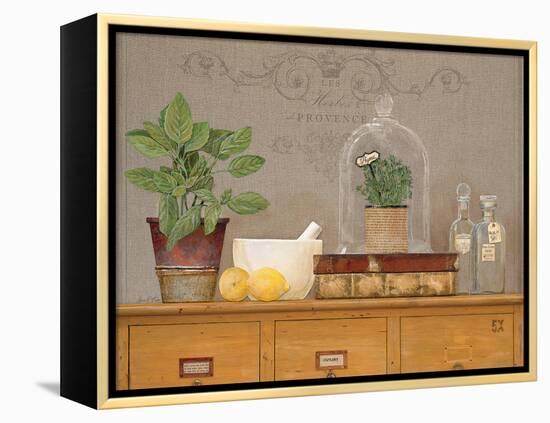 Basil Library-Arnie Fisk-Framed Stretched Canvas