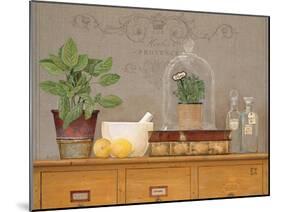 Basil Library-Arnie Fisk-Mounted Art Print