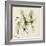 Basil Moment-Albert Koetsier-Framed Art Print