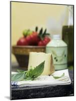 Basil, Parmesan, Tomatoes and Olive Oil-null-Mounted Photographic Print