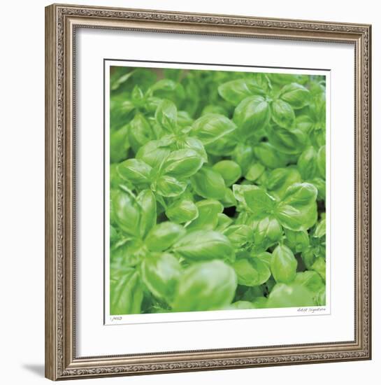 Basil-Stacy Bass-Framed Giclee Print