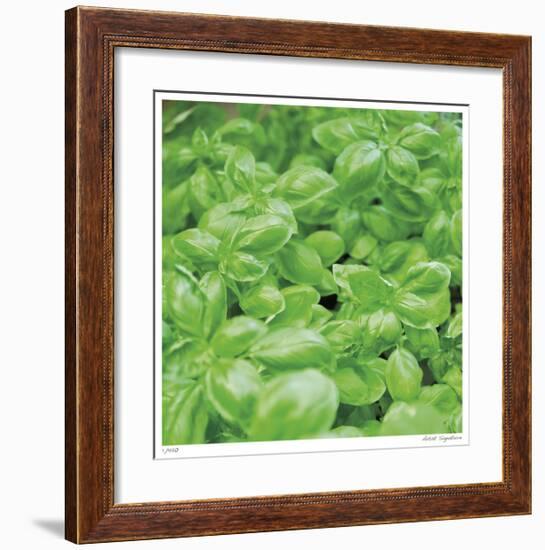 Basil-Stacy Bass-Framed Giclee Print