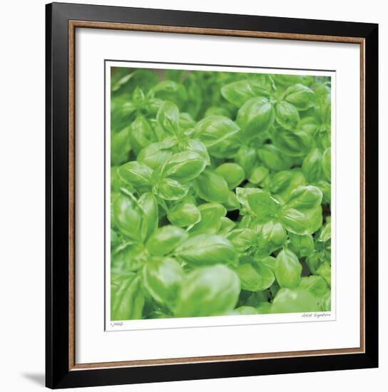 Basil-Stacy Bass-Framed Giclee Print