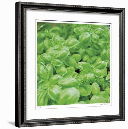 Basil-Stacy Bass-Framed Giclee Print