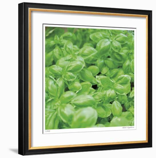 Basil-Stacy Bass-Framed Giclee Print