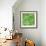 Basil-Stacy Bass-Framed Giclee Print displayed on a wall