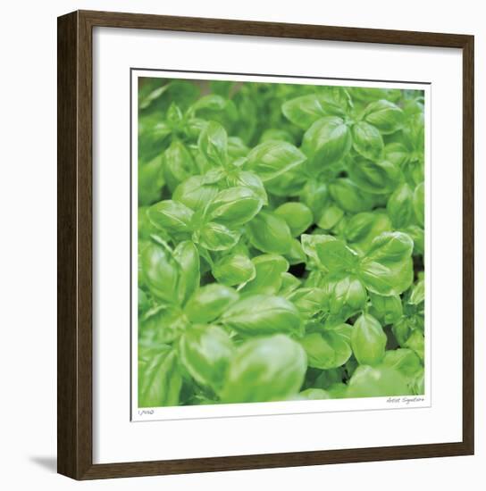 Basil-Stacy Bass-Framed Giclee Print