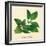 Basil-The Saturday Evening Post-Framed Giclee Print