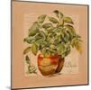 Basilic pot-Lizie-Mounted Art Print