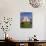 Basilica Di San Francesco Di Assisi, Assisi, Umbria, Italy-Patrick Dieudonne-Photographic Print displayed on a wall