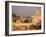 Basilica San Pietro and Ponte Sant Angelo, The Vatican, Rome, Italy-Walter Bibikow-Framed Photographic Print