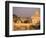 Basilica San Pietro and Ponte Sant Angelo, The Vatican, Rome, Italy-Walter Bibikow-Framed Photographic Print