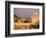 Basilica San Pietro and Ponte Sant Angelo, The Vatican, Rome, Italy-Walter Bibikow-Framed Photographic Print