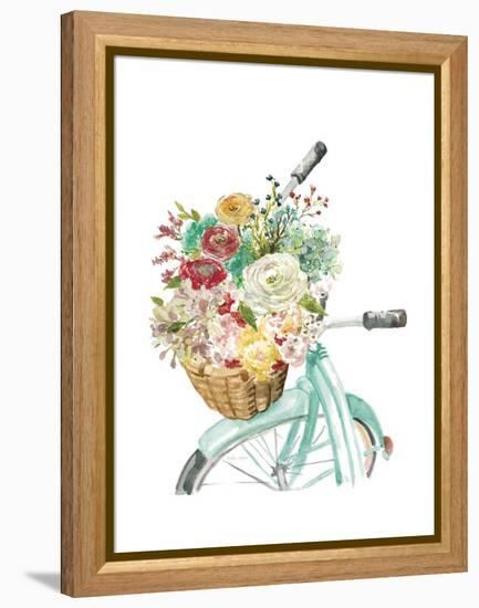 Basket and Bike-Studio Rofino-Framed Stretched Canvas