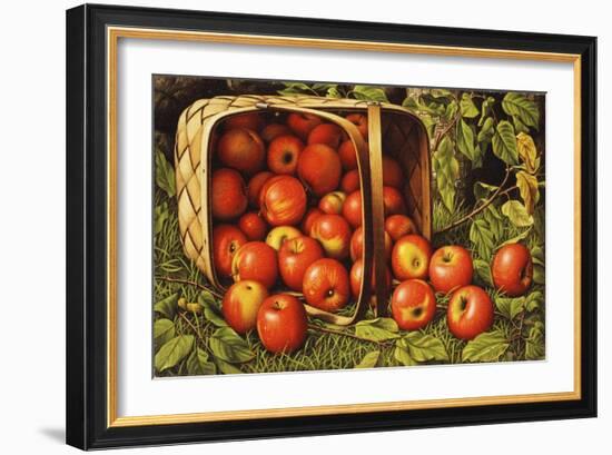 Basket of Apples-Levi Wells Prentice-Framed Giclee Print