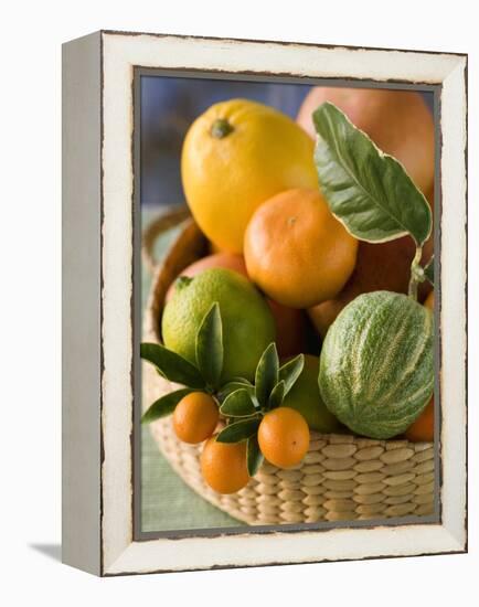 Basket of Assorted Citrus Fruit-Vladimir Shulevsky-Framed Premier Image Canvas