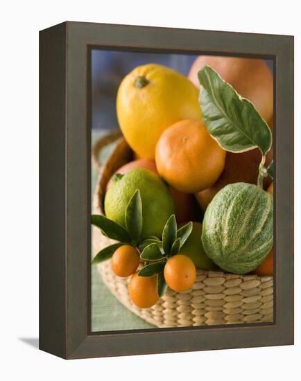 Basket of Assorted Citrus Fruit-Vladimir Shulevsky-Framed Premier Image Canvas