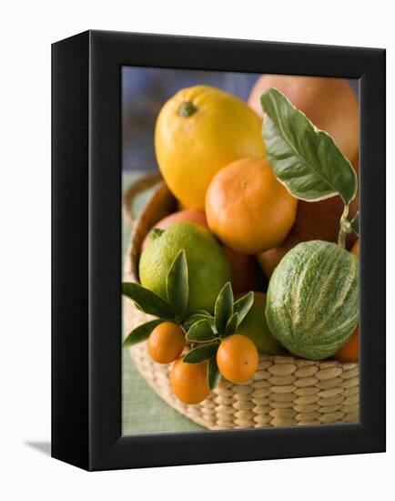 Basket of Assorted Citrus Fruit-Vladimir Shulevsky-Framed Premier Image Canvas