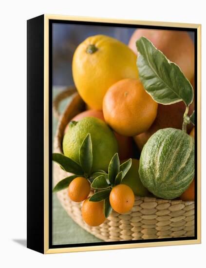 Basket of Assorted Citrus Fruit-Vladimir Shulevsky-Framed Premier Image Canvas