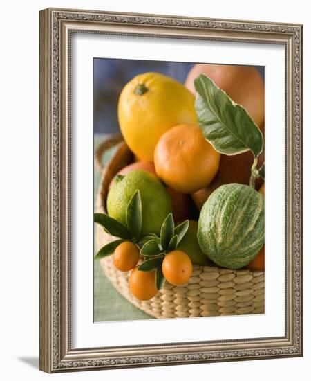 Basket of Assorted Citrus Fruit-Vladimir Shulevsky-Framed Photographic Print