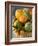 Basket of Assorted Citrus Fruit-Vladimir Shulevsky-Framed Photographic Print