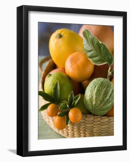 Basket of Assorted Citrus Fruit-Vladimir Shulevsky-Framed Photographic Print