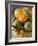 Basket of Assorted Citrus Fruit-Vladimir Shulevsky-Framed Photographic Print