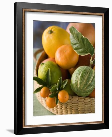 Basket of Assorted Citrus Fruit-Vladimir Shulevsky-Framed Photographic Print