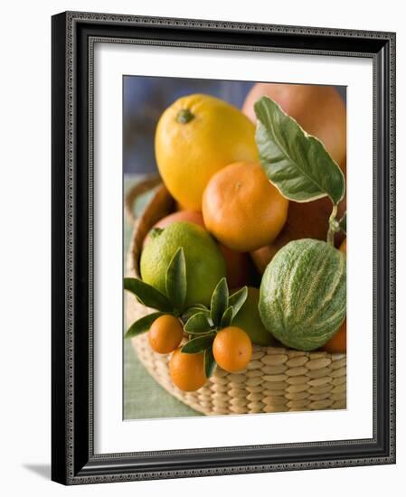 Basket of Assorted Citrus Fruit-Vladimir Shulevsky-Framed Photographic Print