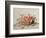 Basket of Cherries, 1998-Amelia Kleiser-Framed Giclee Print