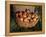 Basket of Cider Apples, Pays d'Auge, Normandie (Normandy), France-Guy Thouvenin-Framed Premier Image Canvas