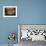 Basket of Cider Apples, Pays d'Auge, Normandie (Normandy), France-Guy Thouvenin-Framed Photographic Print displayed on a wall