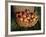 Basket of Cider Apples, Pays d'Auge, Normandie (Normandy), France-Guy Thouvenin-Framed Photographic Print