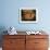 Basket of Cider Apples, Pays d'Auge, Normandie (Normandy), France-Guy Thouvenin-Framed Photographic Print displayed on a wall