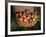 Basket of Cider Apples, Pays d'Auge, Normandie (Normandy), France-Guy Thouvenin-Framed Photographic Print