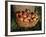 Basket of Cider Apples, Pays d'Auge, Normandie (Normandy), France-Guy Thouvenin-Framed Photographic Print