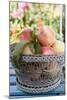 Basket of Fresh Peaches on a Garden Table-Eising Studio - Food Photo and Video-Mounted Photographic Print