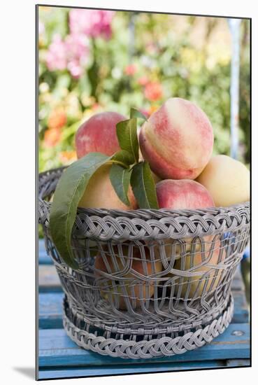 Basket of Fresh Peaches on a Garden Table-Eising Studio - Food Photo and Video-Mounted Photographic Print