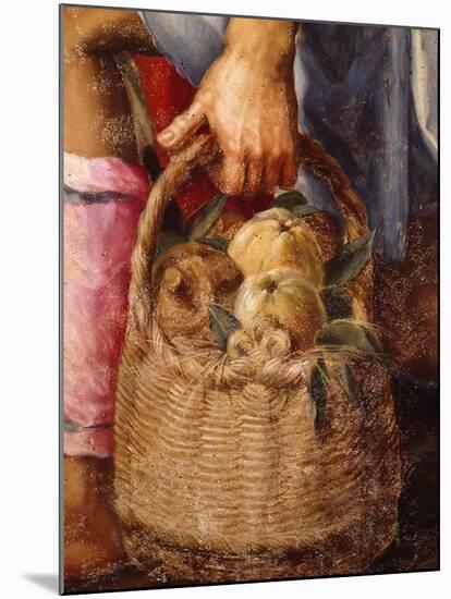 Basket of Fruit, Detail from Adoration of Shepherds-Peter Candid-Mounted Giclee Print