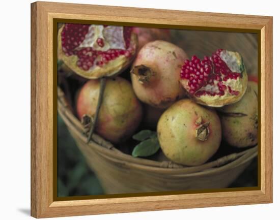 Basket of Pomegranate, Oaxaca, Mexico-Judith Haden-Framed Premier Image Canvas