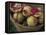 Basket of Pomegranate, Oaxaca, Mexico-Judith Haden-Framed Premier Image Canvas