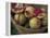 Basket of Pomegranate, Oaxaca, Mexico-Judith Haden-Framed Premier Image Canvas